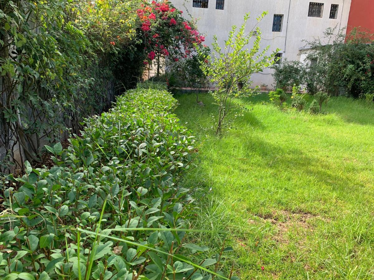 Studio Plage Kozah طنجة المظهر الخارجي الصورة