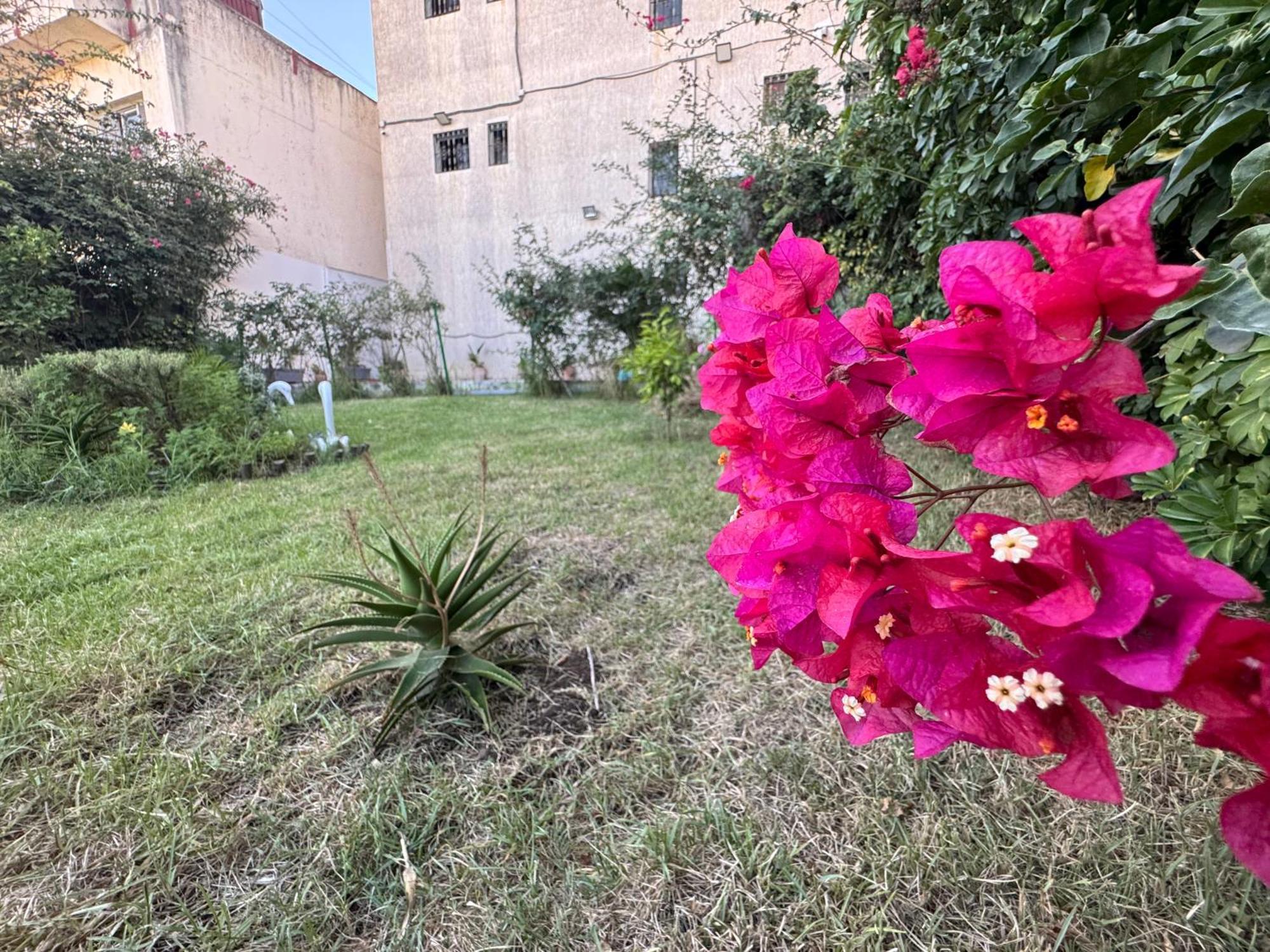 Studio Plage Kozah طنجة المظهر الخارجي الصورة